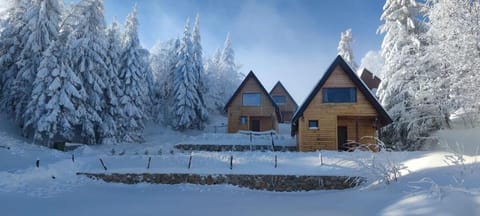 Lodge Sisters- Cabin 1 Vacation rental in Zlatibor District, Serbia