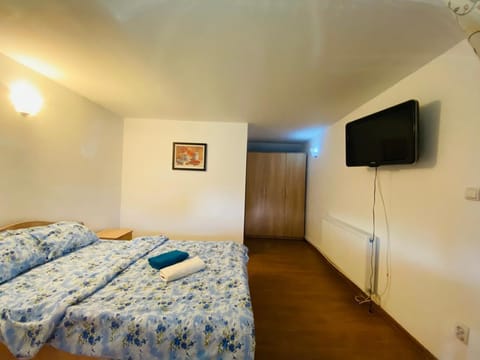 Casa Andrei Vacation rental in Serbia