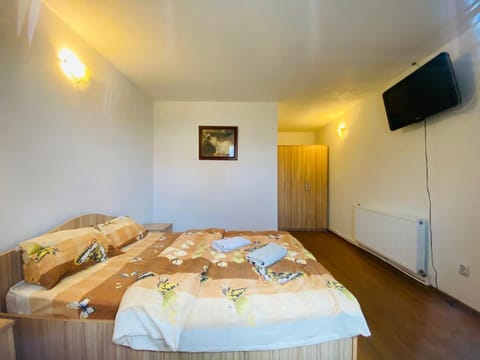 Casa Andrei Vacation rental in Serbia