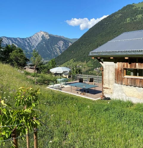 La Grange de Soulalex Chalet in Canton of Valais