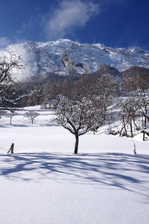La Grange de Soulalex Chalet in Canton of Valais