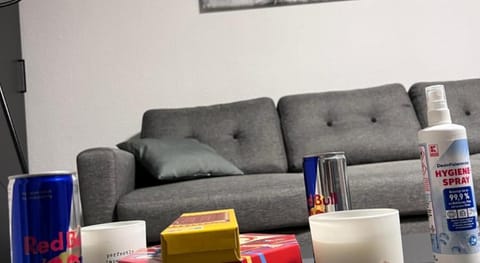 Business Apartment  Apartment in Karlsruhe