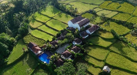 Tanta Escape Hotel in Tampaksiring