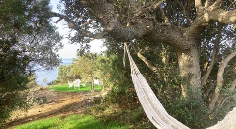 Domaine de la Coletta Maison traditionnelle Vacation rental in Coti-Chiavari