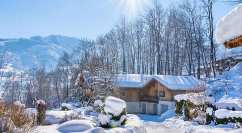 Apartment in Walchen near Ski Lift Apartment in Piesendorf