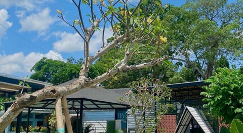 The Jungle Hostel Canggu Hotel in North Kuta