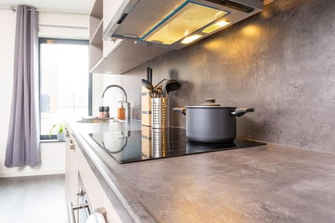 Luxurious loft w/view walk city center Delft XL Vacation rental in Delft