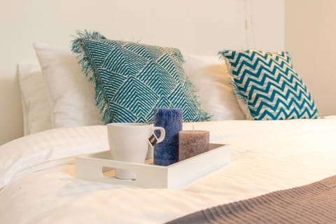 Retreat to quite newly build apt center Delft XL  Vacation rental in Delft