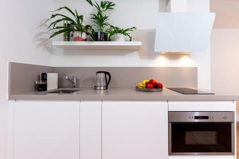 Designer Loft Apartment in Delft City Center New Vacation rental in Delft