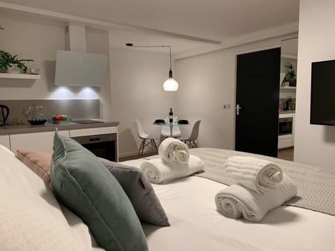 Designer Loft Apartment in Delft City Center New Vacation rental in Delft