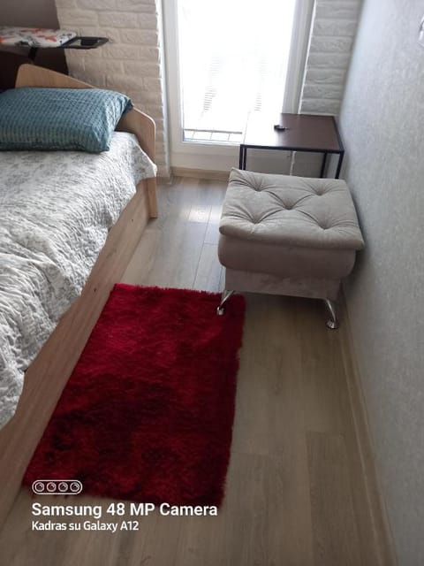 DVIEJŲ KAMBARIŲ BUTAS SU VAIZDU Į BASEINĄ IR SODĄ. Apartment in Palanga