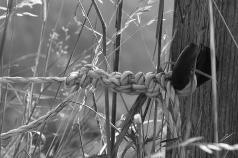 Compostela Apartment in Auvergne-Rhône-Alpes