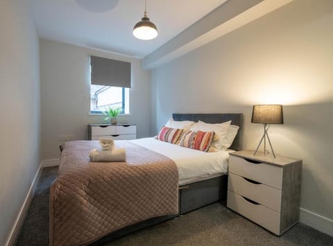 Sleeps 6 beside queens university Apartment in Belfast