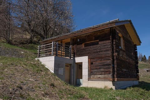 ALTYPIC Chalet in Nidwalden
