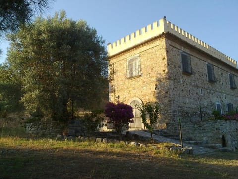Property view