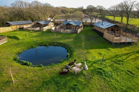 Jungle Book Safari Tent Luxury tent in Saint Florence