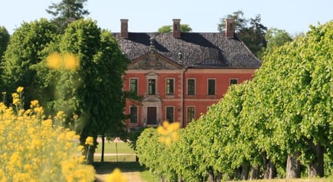 Apartment in Klutz mit Garten Apartment in Boltenhagen