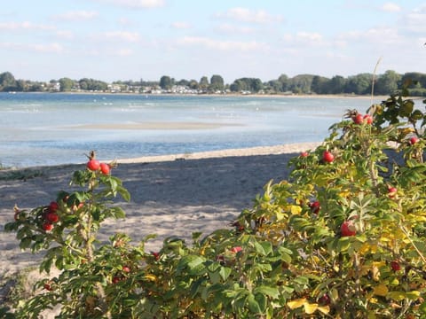Ferienwohnung in Pepelow in Strandnahe Apartment in Rerik