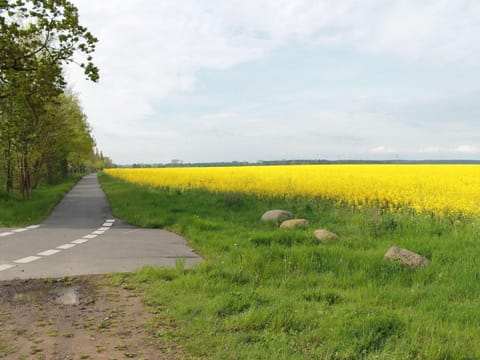 Ferienwohnung in Pepelow in Strandnahe Apartment in Rerik