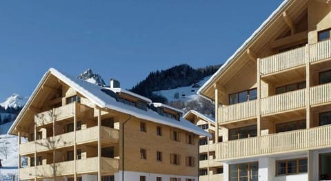 Chalet in Brand near Ski Lift  Slopes Apartment in Brand
