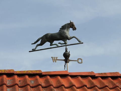 Geraumige Ferienwohnung mit Garten in Brusow Apartment in Mecklenburg-Vorpommern, Germany