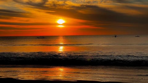 Sunset Palms Luxury Beachside Pool Villa 4BR Villa in Kuta