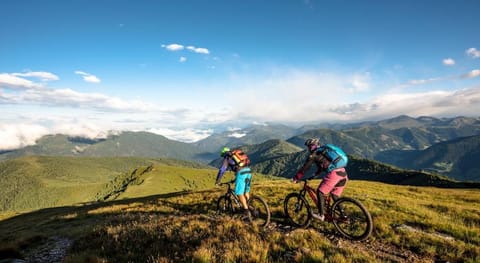 Heimeliges Apartment in den Bergen Apartment in Carinthia, Austria