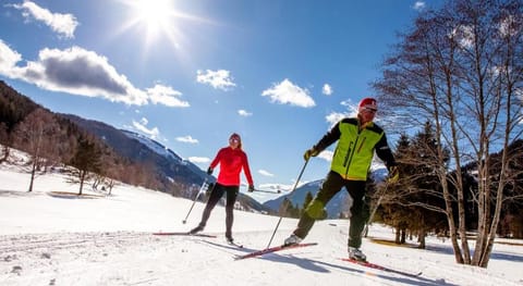 Heimeliges Apartment in den Bergen Apartment in Carinthia, Austria