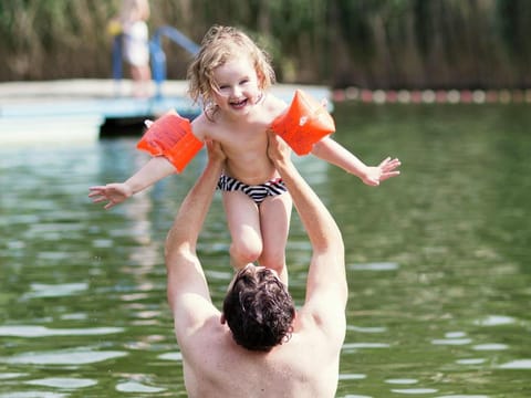 Villa in Arcen with Pool  Family Amenities Villa in Arcen