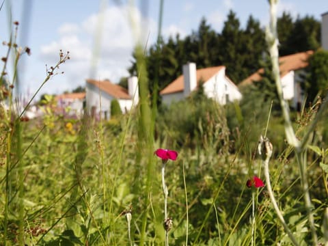 Villa in Arcen with Pool  Family Amenities Villa in Arcen