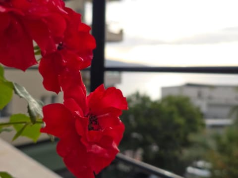 Valza Boutique Hotel Hotel in Vlorë