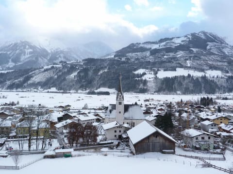 Penthouse Hohe Tauern Apartment in Piesendorf