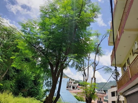 Property view