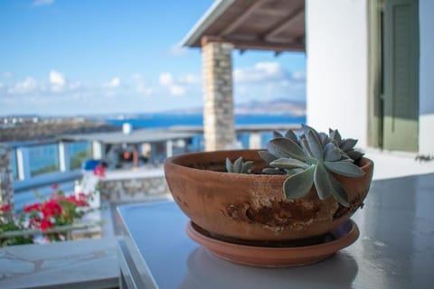 Irenes View Apartments Villa 5 - 5 guests with pool and sea view in Agia Irini Apartment in Paros, Greece