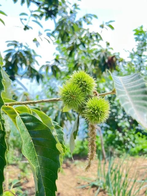 YJ伊旧129 Vacation rental in Beijing