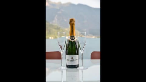 One Only Lake View Penthouse Nl-00002880 Apartment in Lugano