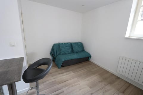 Charming renovated Studio in the center of Haguenau Apartment in Haguenau