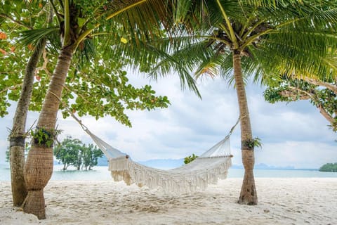 Mangrove Bay Krabi Beachfront Pool Villa Hotel in Krabi Changwat