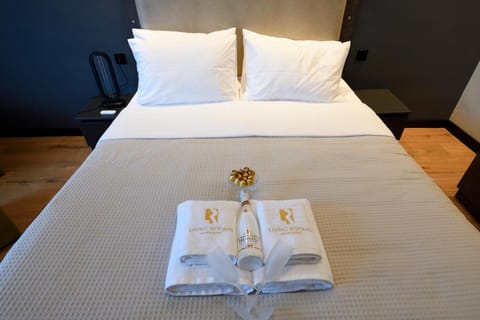 Living Rooms Bed and Breakfast in Skopje