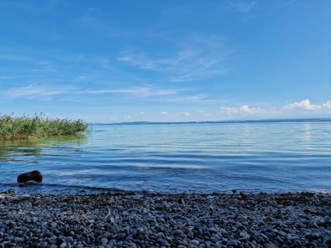 Cozy apartment in the center of Neuchâtel Apartment in Neuchâtel