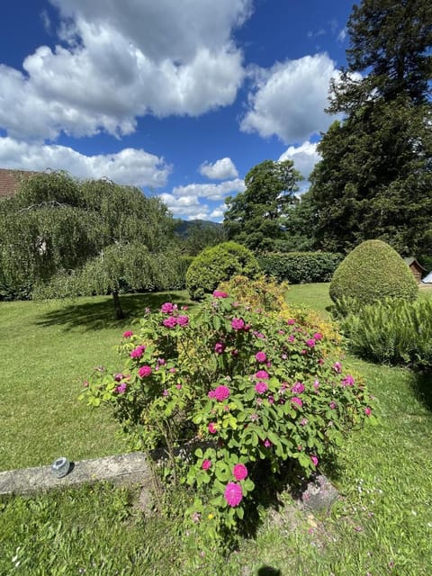 A l'Ombre des tilleuls Vacation rental in Vosges