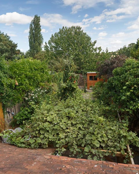 Georgina Vacation rental in Babergh District