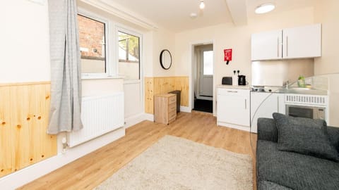 Luxury Shirley Apartments Apartment in Southampton