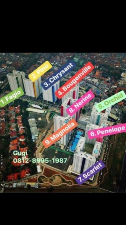 Property view