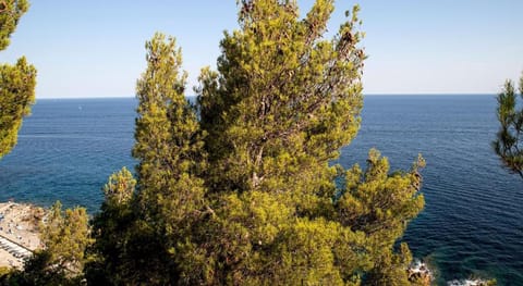 Marconi 442 Apartment in Sanremo