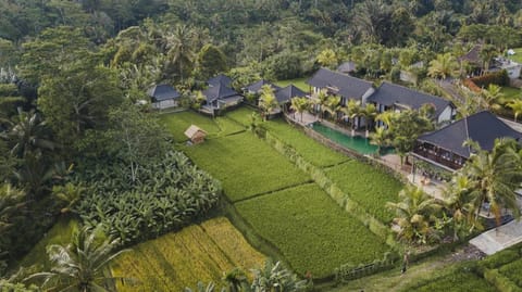 Pinggala Villa Ubud Villa in Tampaksiring