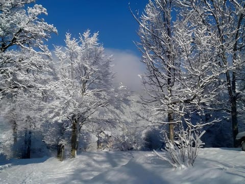 Gites de la Planta Hotel in Lans-en-Vercors