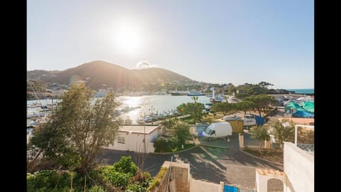 The House on the Harbour Apartment in Ischia