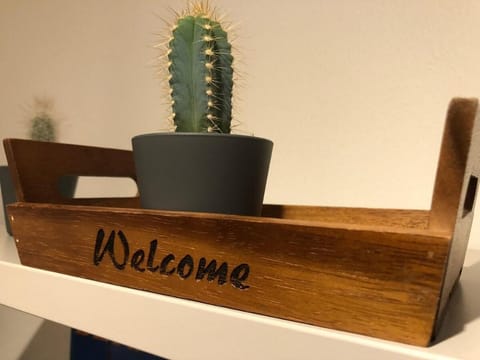 City Center apartment, Historic Building, Old Town Apartment in Interlaken