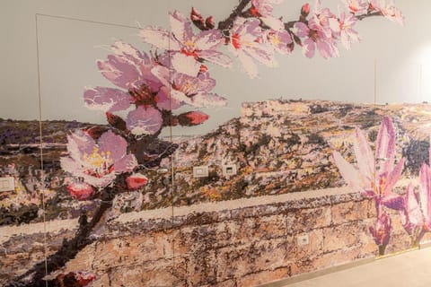 Profumi di Primavera Luxury Rooms & Suite Bed and Breakfast in Matera